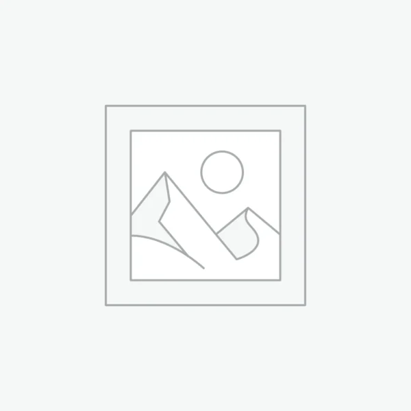 Adobe Illustrator Masterclass